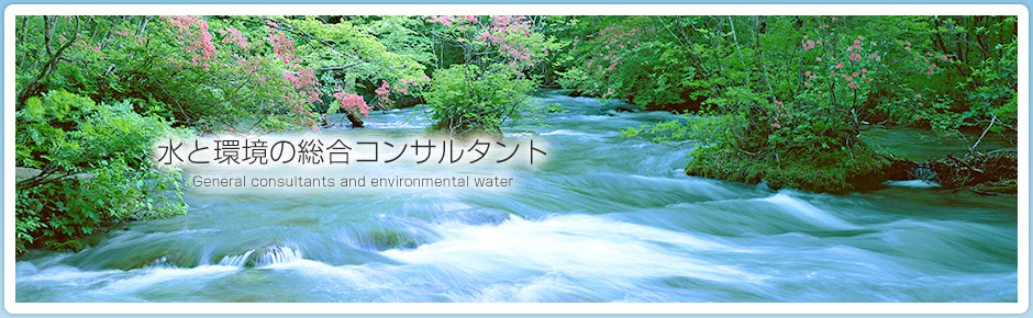 水と環境の総合コンサルタント